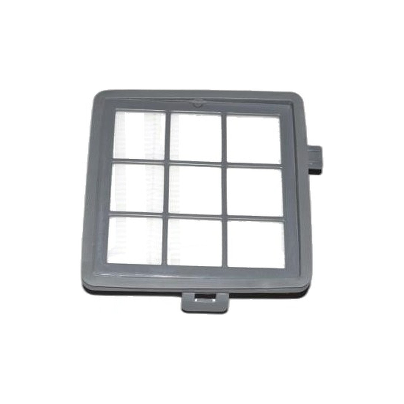 Bissell Hard Floor Expert Pre-Motor Filter (1154/1161)