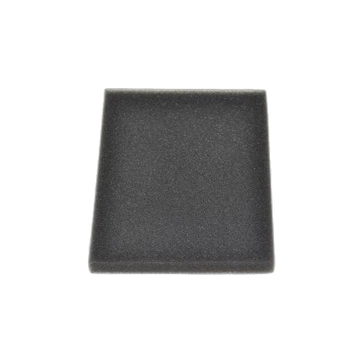 Bissell Secondary Filter - 5770 Healthy Home