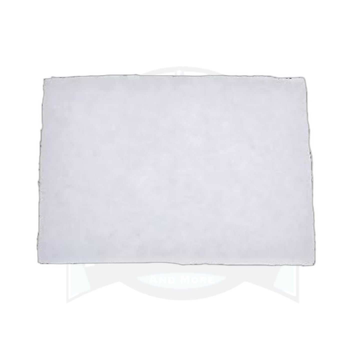 Eureka Express 8280/8290 Series Canister Motor Filter