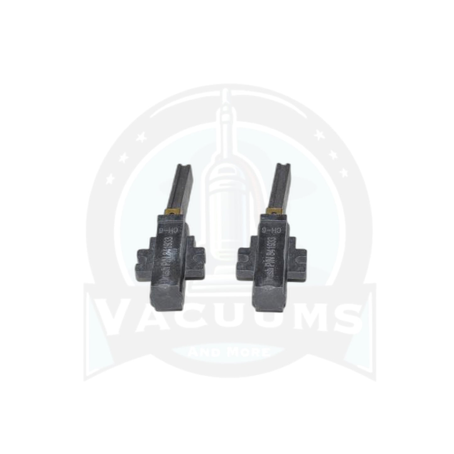 ProTeam Carbon Brush - 2 Pack - Lamb Wolong, PRO6, PB10 - ProTeam