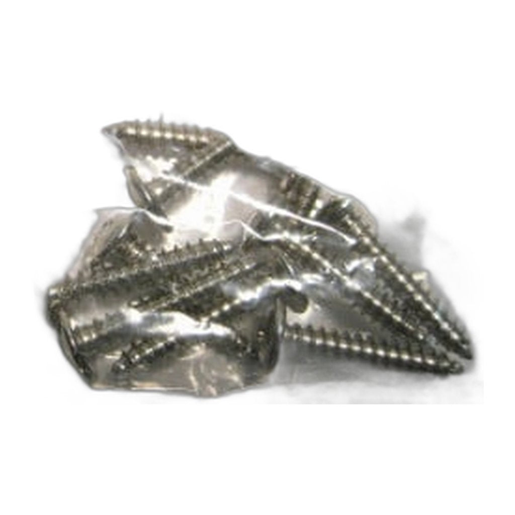 SEBO Screw F 3.9 x 21 (DIN 968) for ET-1 and ET-2 Power Heads, FELIX and DART — 10 Pack