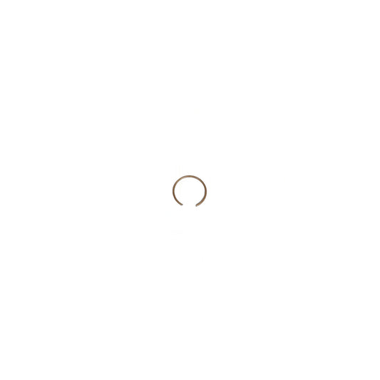 ProTeam Compression Ring