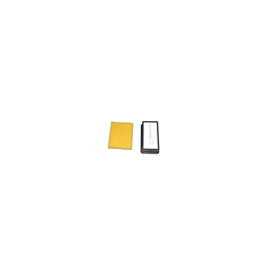 Filter Pack (Style 1008) - Bissell CleanView Upright Vacuums