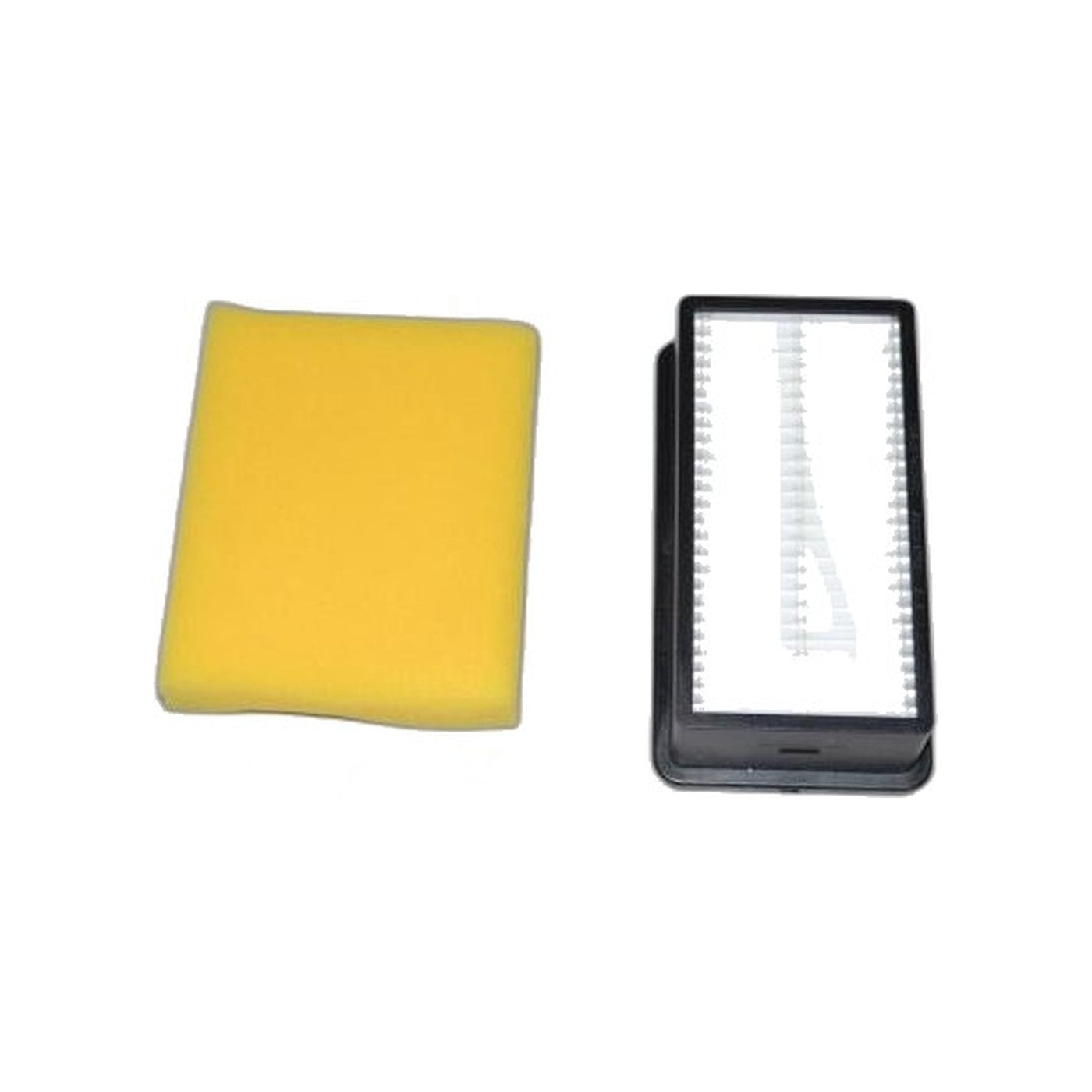Bissell CleanView Filter Pack (Style 1008)