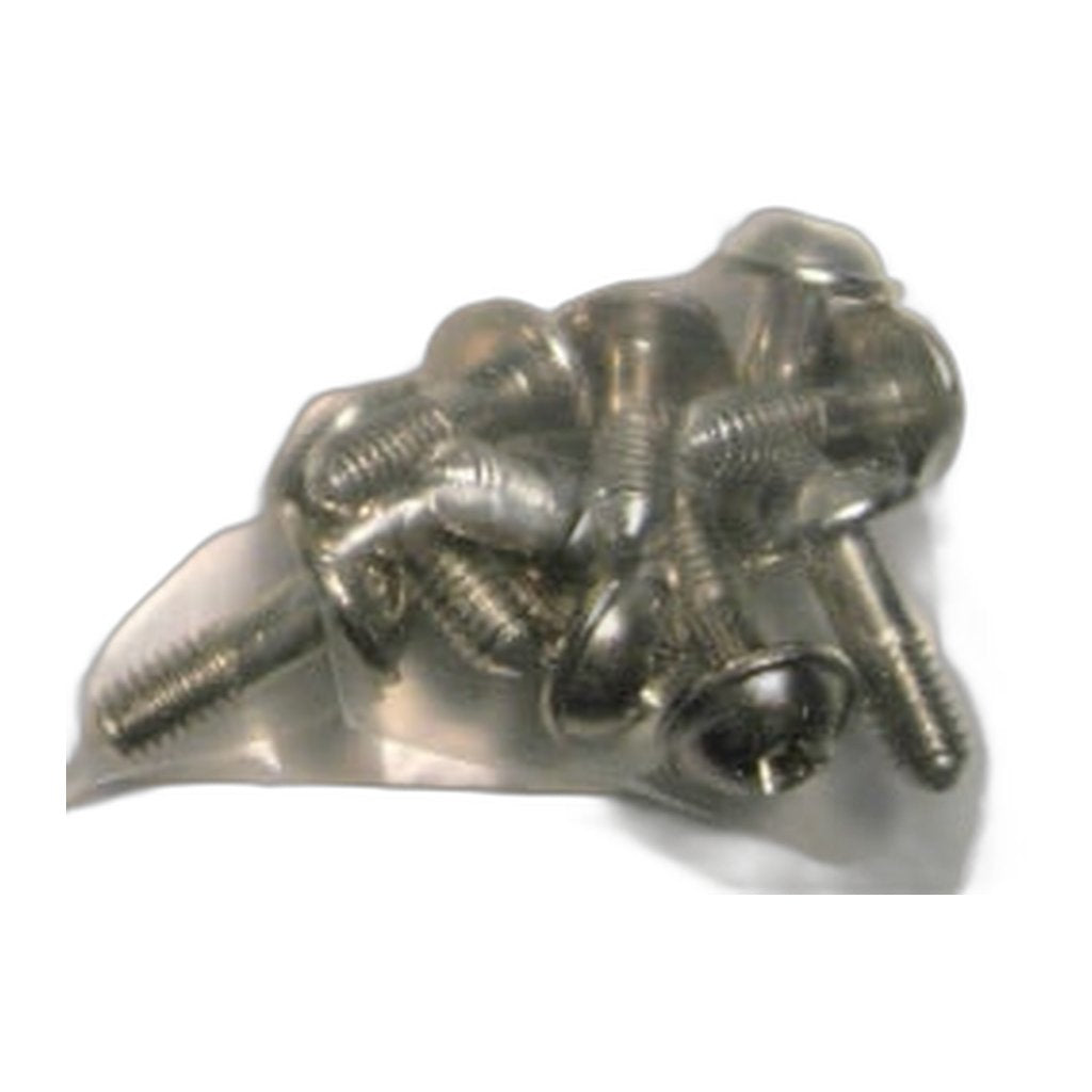SEBO M4 x 12 Screw with Washer for AUTOMATIC X, ESSENTIAL G, 370 COMFORT and 300/350 — 10 Pack
