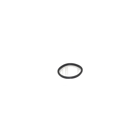 ProTeam Twist Cap Gasket Super Coach