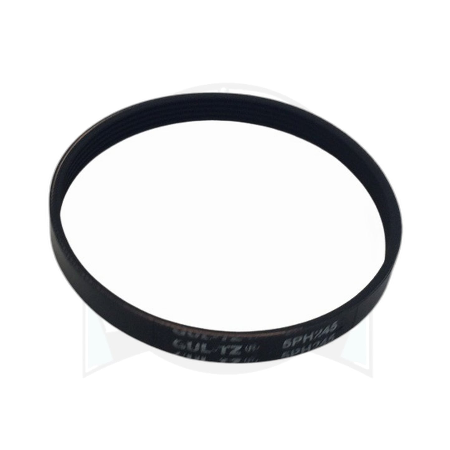 Clean Obsessed CO101 / Perfect DM101 Serpentine Power Nozzle Belt