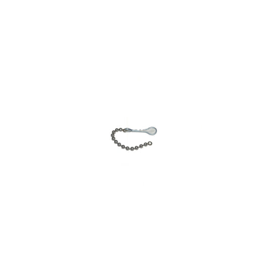 Kirby Bag Chain & Loop / Late Model E191362