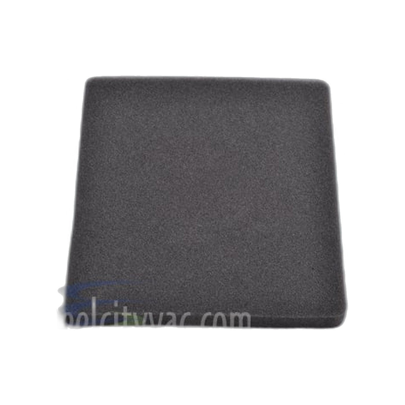 Dirt Devil SD4000 Canister Foam Filter