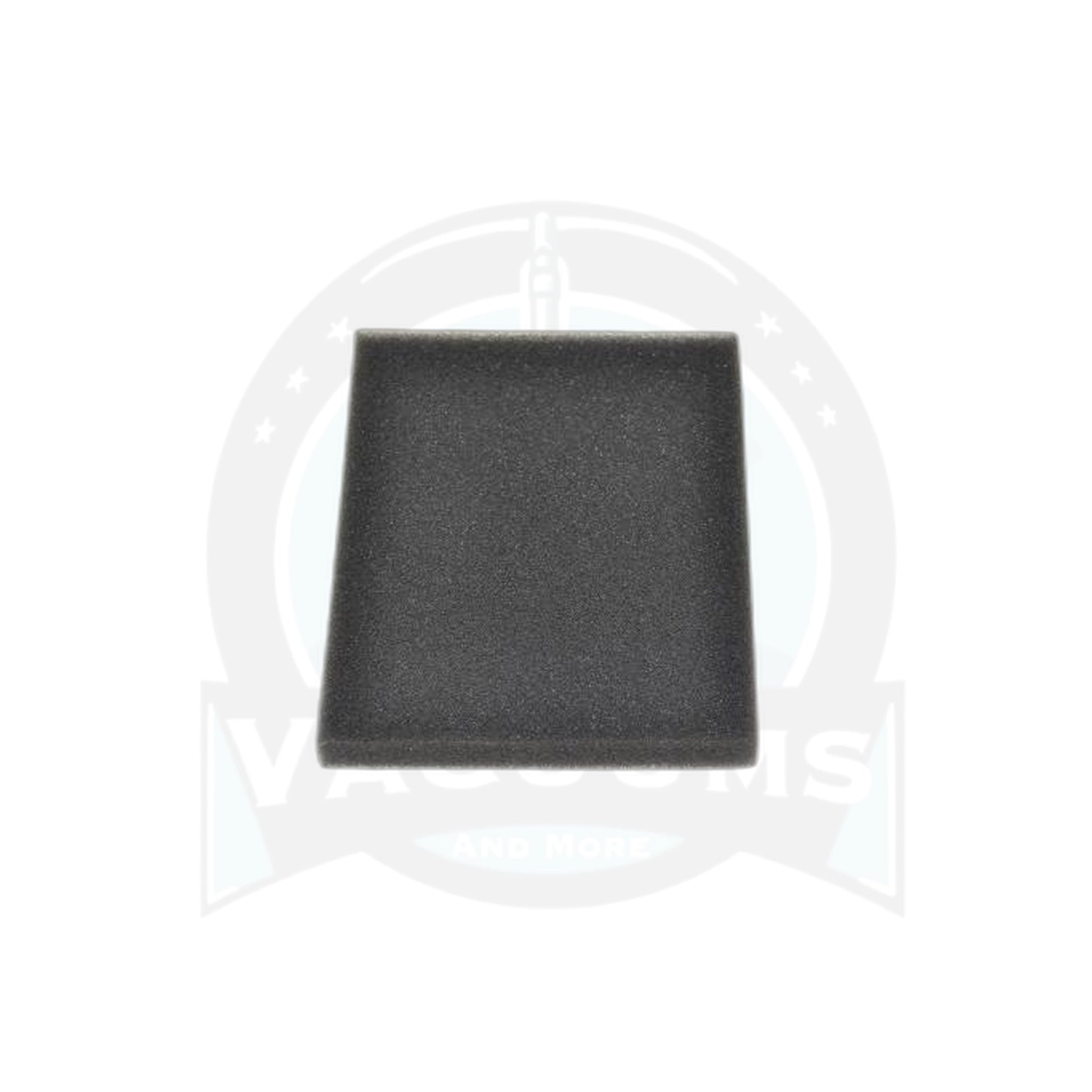 Bissell Secondary Filter - 5770 Healthy Home - Bissell