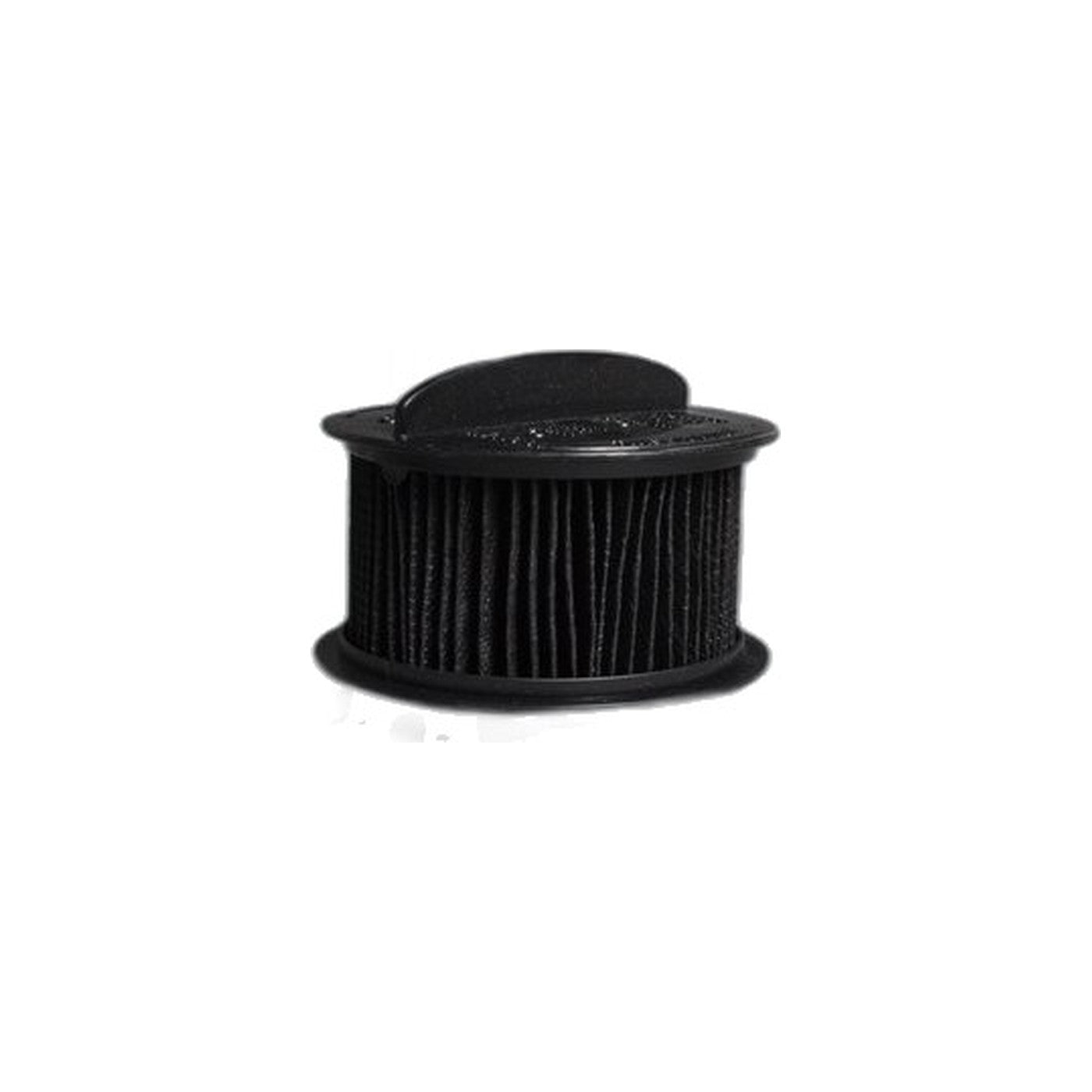 Bissell Pleated Cartridge Cleanview Helix Filter