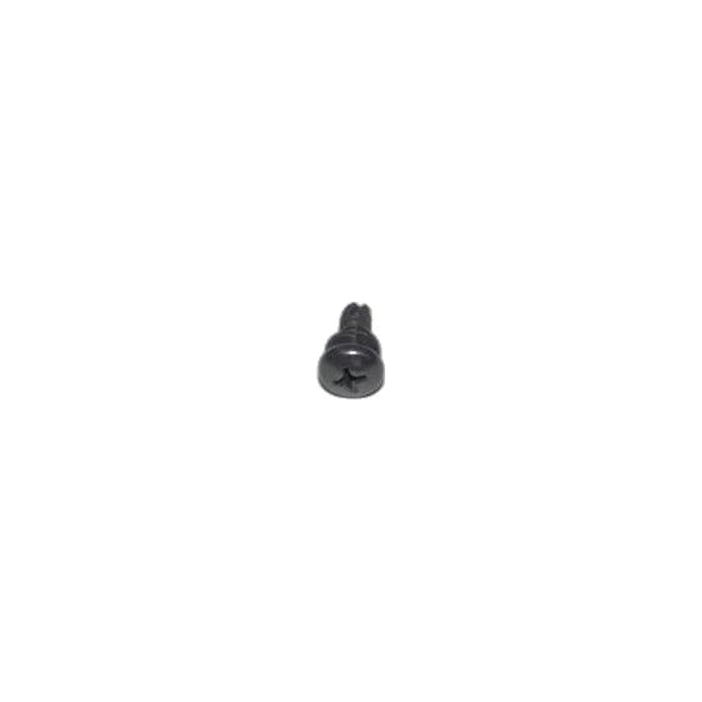Hoover Detent Plate Commercial Screw