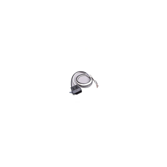 Cord Inlet - Eureka Express / Rally