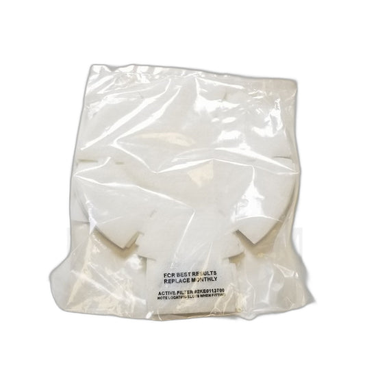 Royal RY4000 Backpack Vacuum Filter 5-Pack, Original