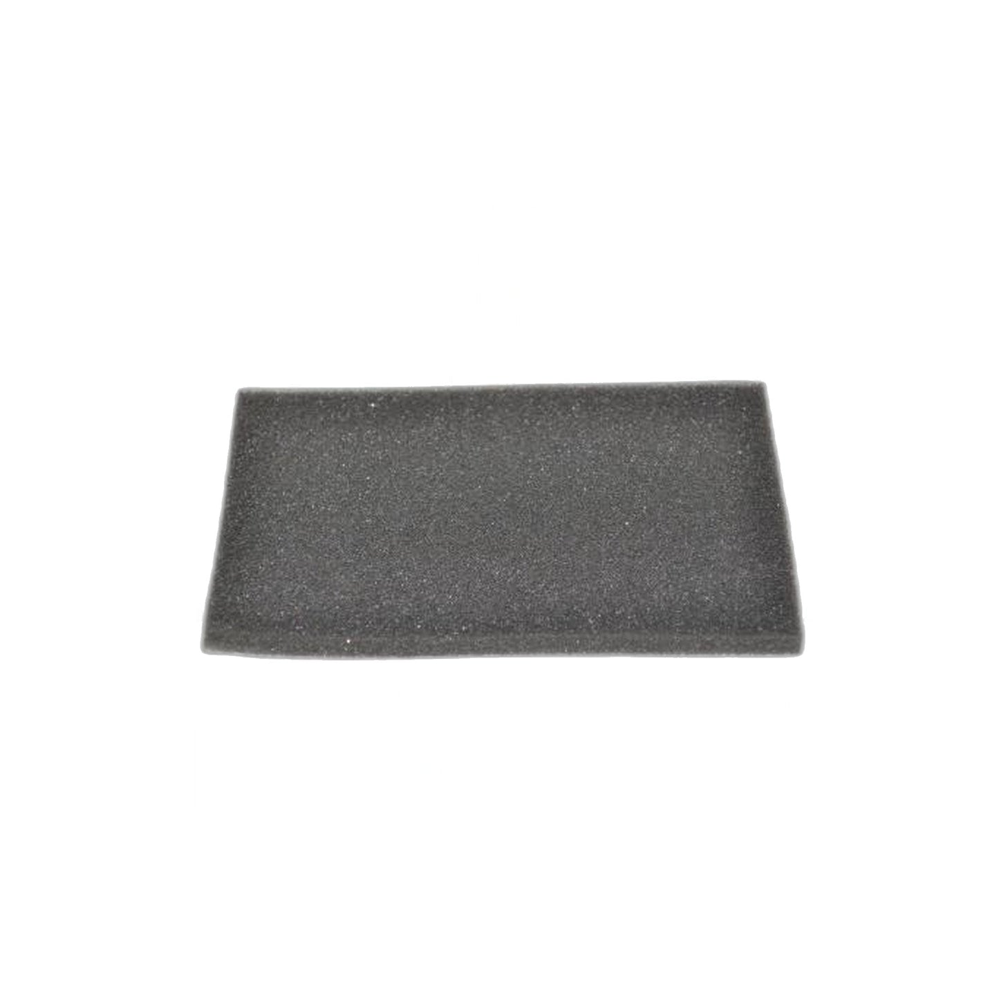 Dirt Devil SD30035 Express Canister Exhaust Foam Filter