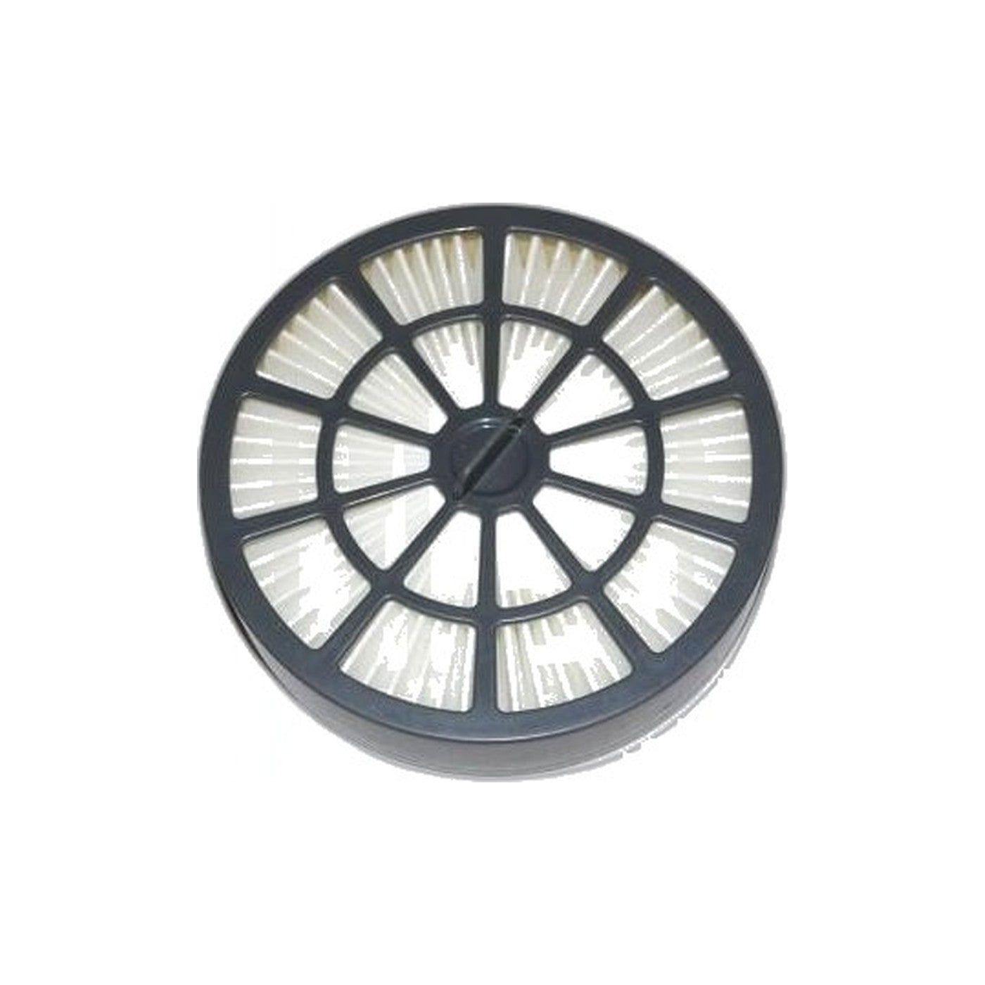 Hoover Exhaust Filter - SH40075 Canister