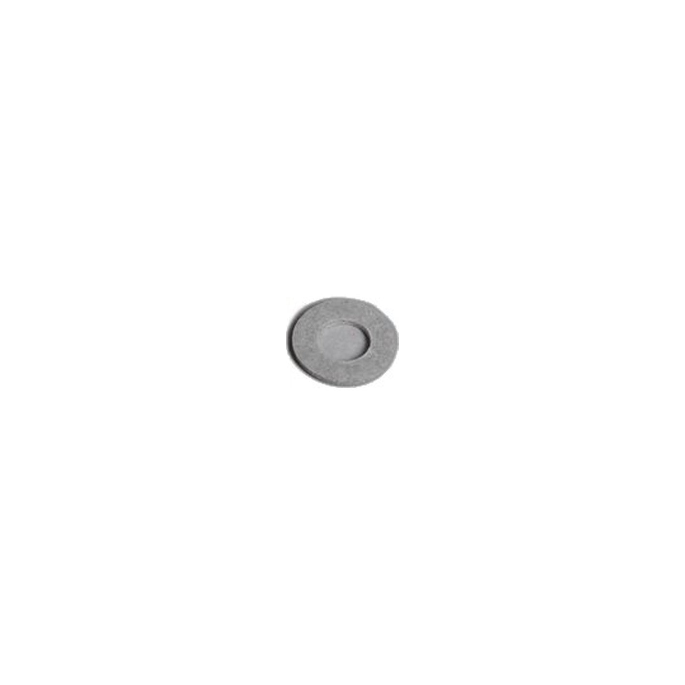 Fibre Washer for PN Brush Roll Assembly - 2 Per Assembly