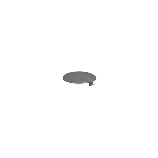 Kirby Sentria Rear Wheel Hub Caps (2-Pack)