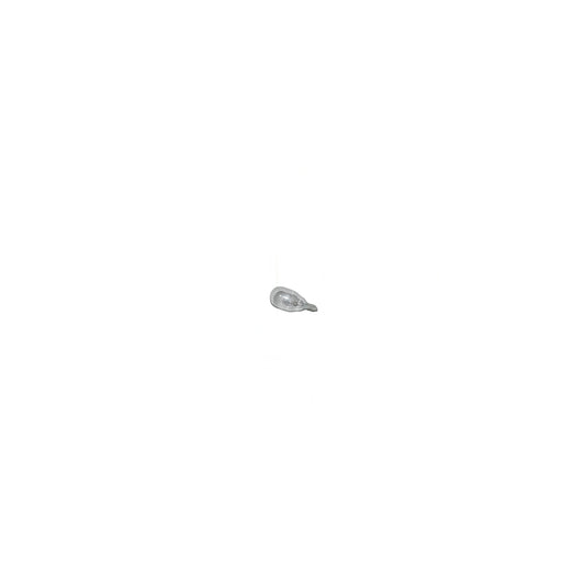 Titan Power Nozzle Light Bulb - T9000, T9500