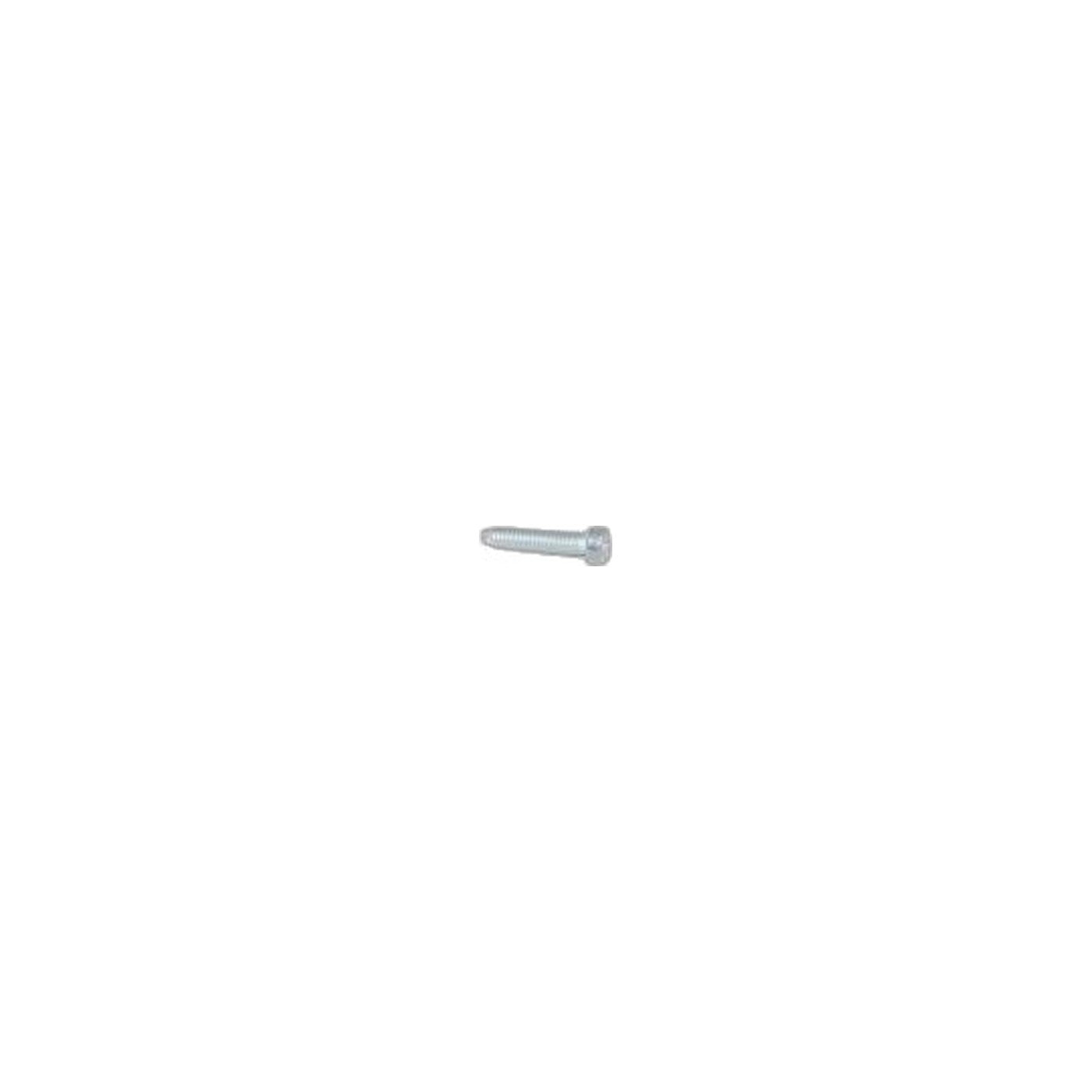 Kirby Bearing Plate/Motor Housing Screw - 10 Pack