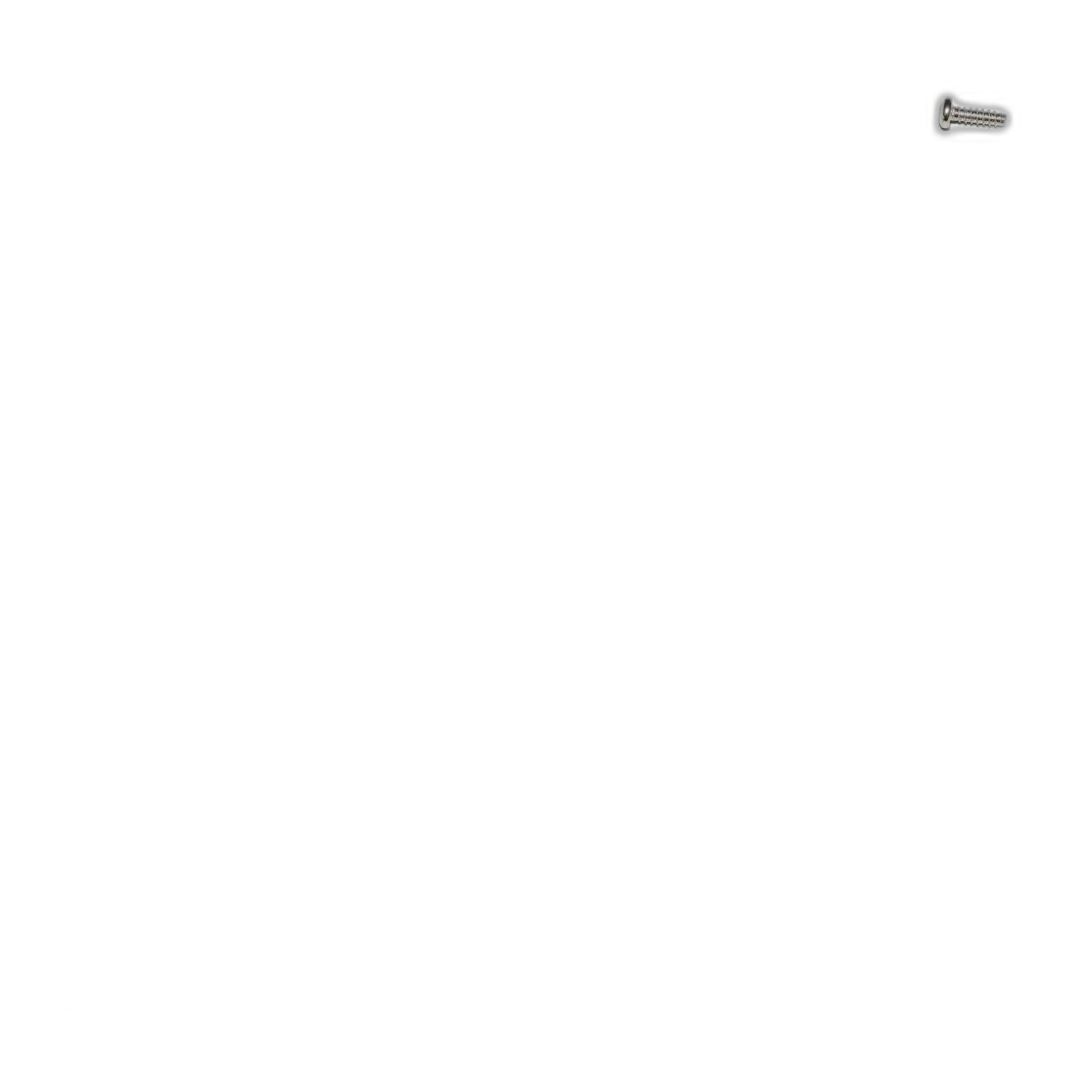 SEBO Screw F 3.9 x 13 (DIN 7981) for X, G, 370, 300/350, C and D Series — 10 Pack
