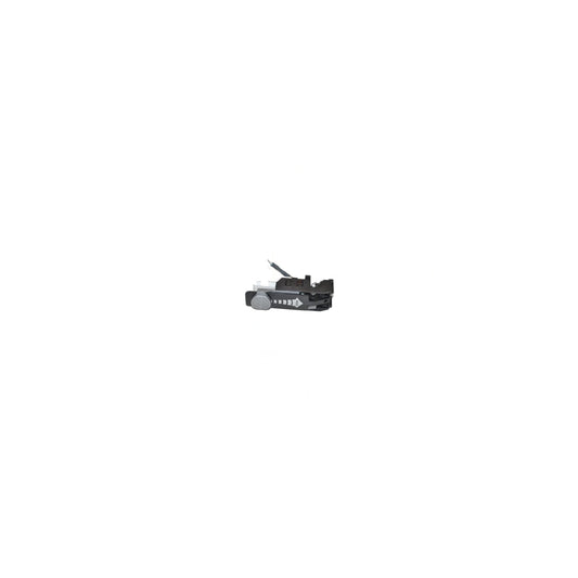 SEBO Felix Broom Onyx Model Switch