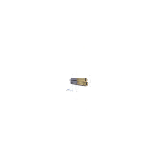 Ametek Lamb 36-Volt Motor Carbon Brush, 2-Pack