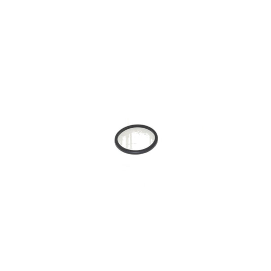ProTeam Lower Motor Gasket - Super Coach Pro 6