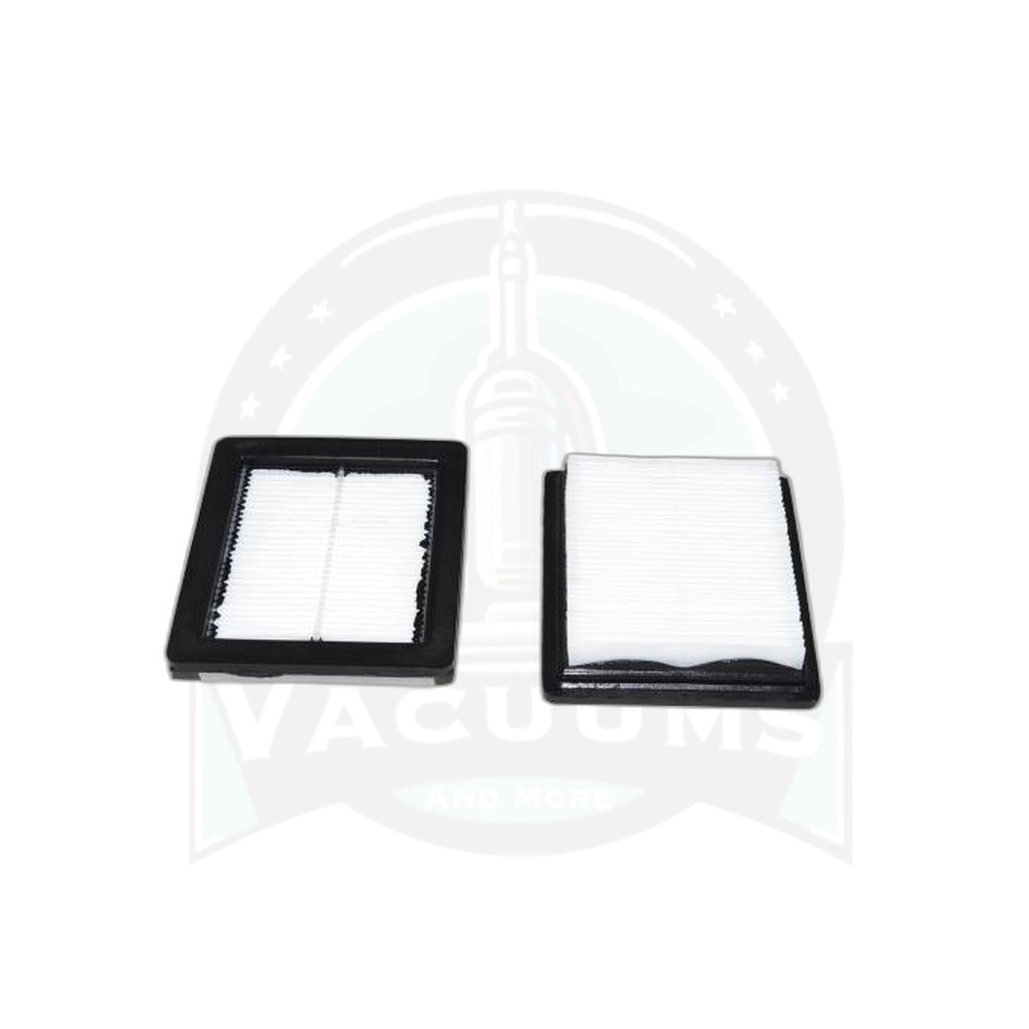 ProTeam HEPA Filter - 2 Pack, Gofit Back Pack - ProTeam