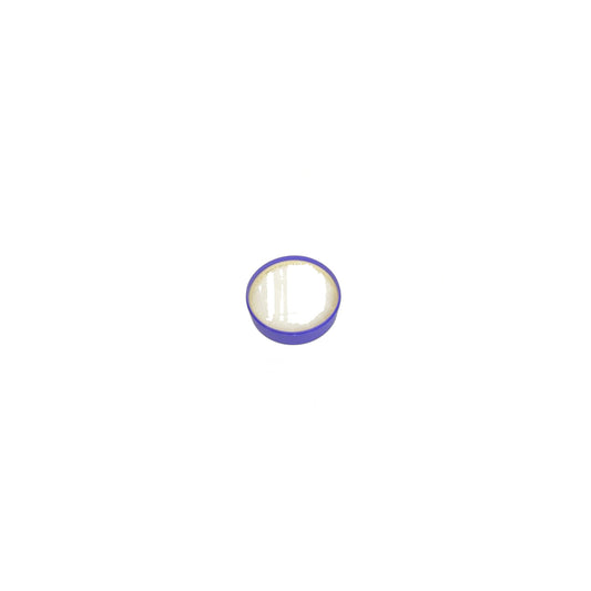 Dyson DC27 HEPA Filter