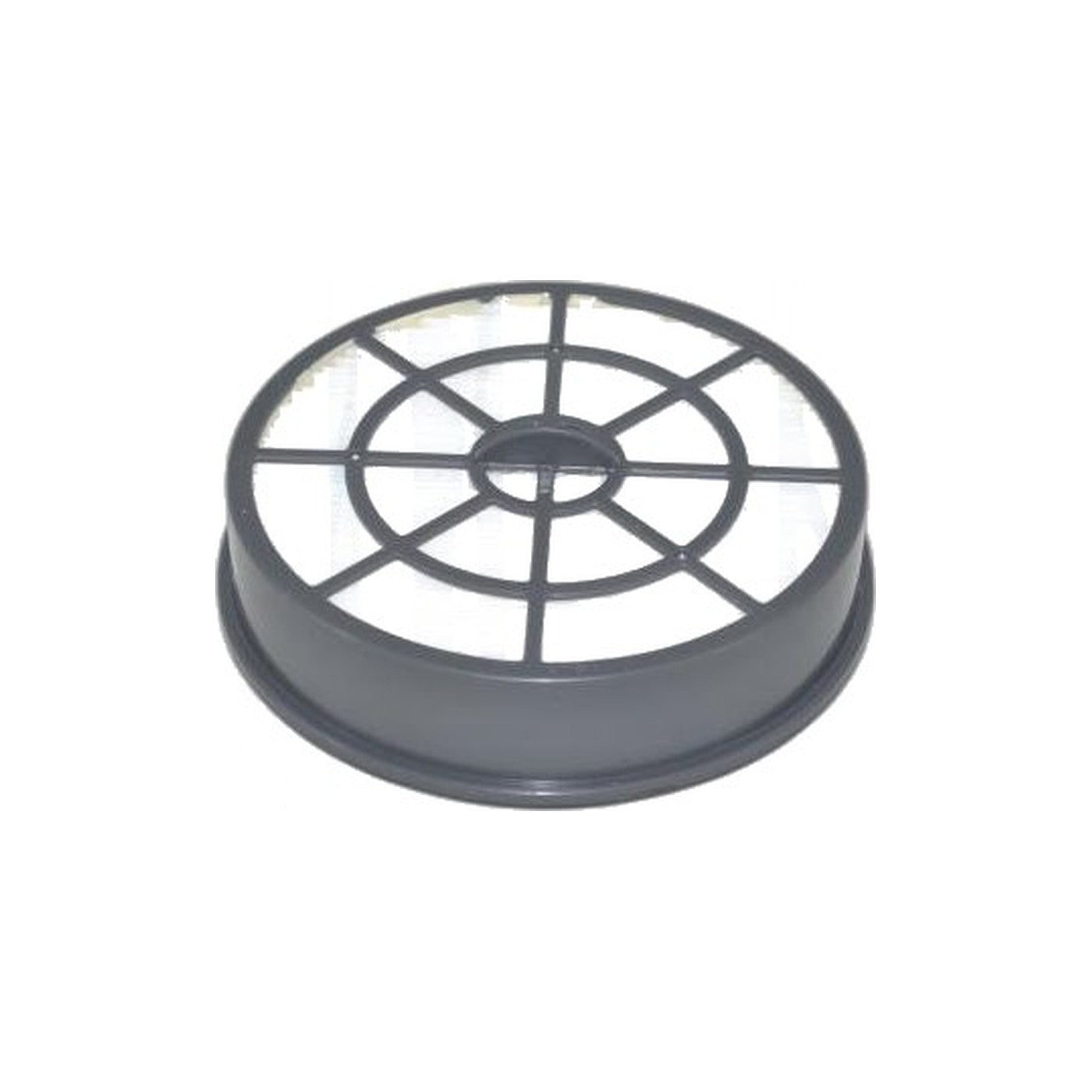 Vacuum Filter Replacement