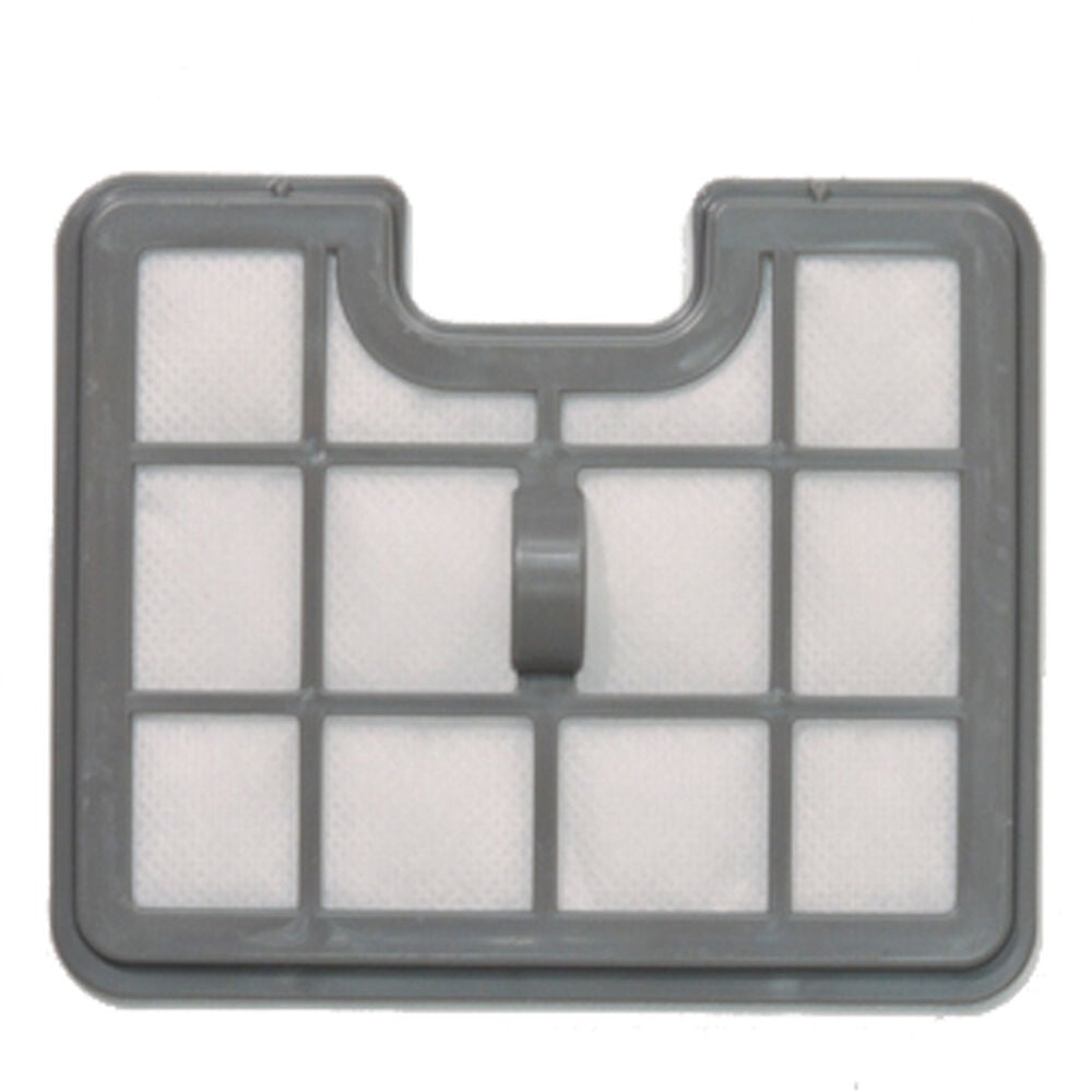 Bissell Hard Floor Expert Post-Motor Filter 1602086