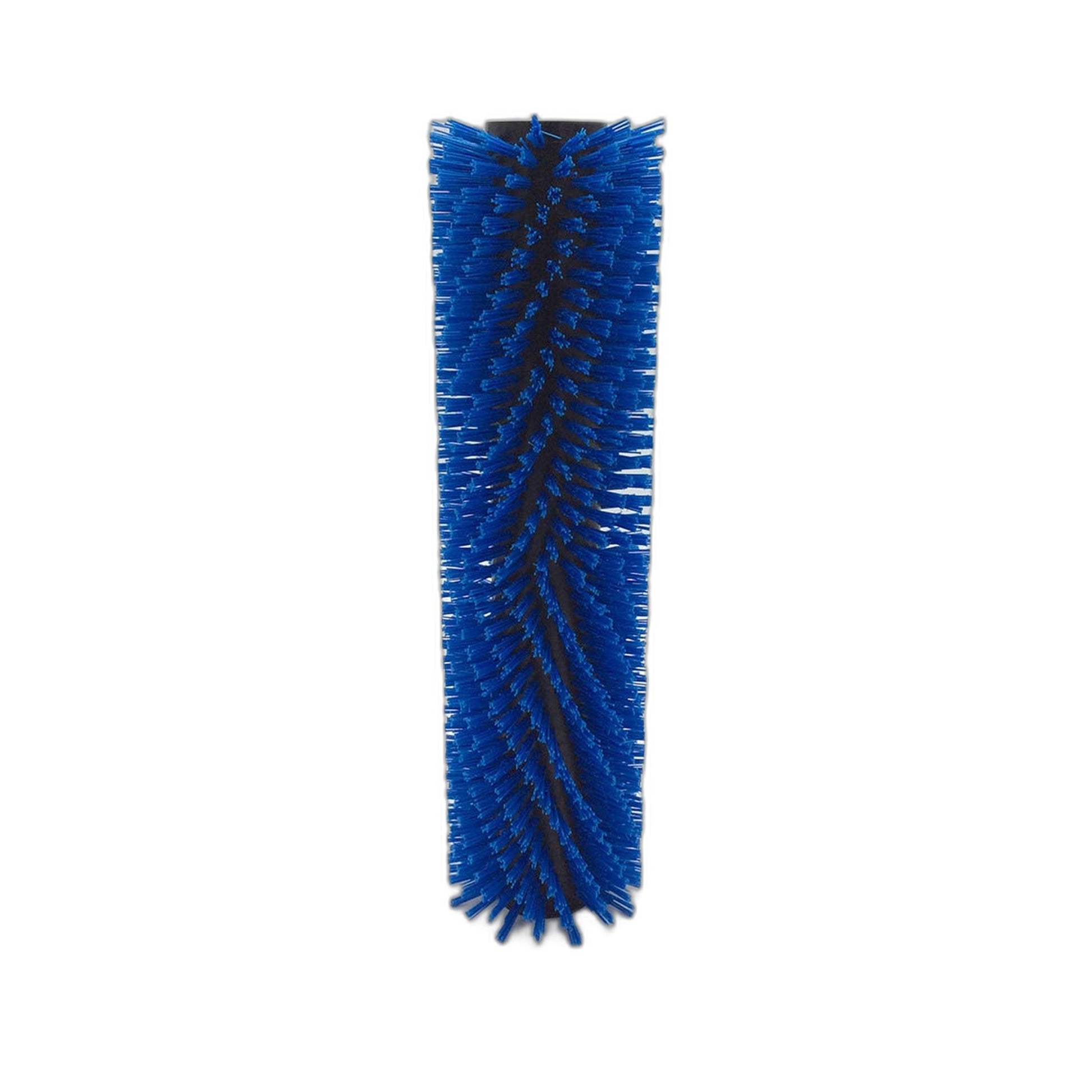 Powr-Flite Heavy-Duty Blue Brush for CAS16 Powr-Scrub