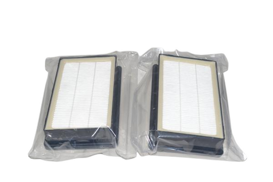 Hoover AH40006 Backpack Final Filters, 2-Pack