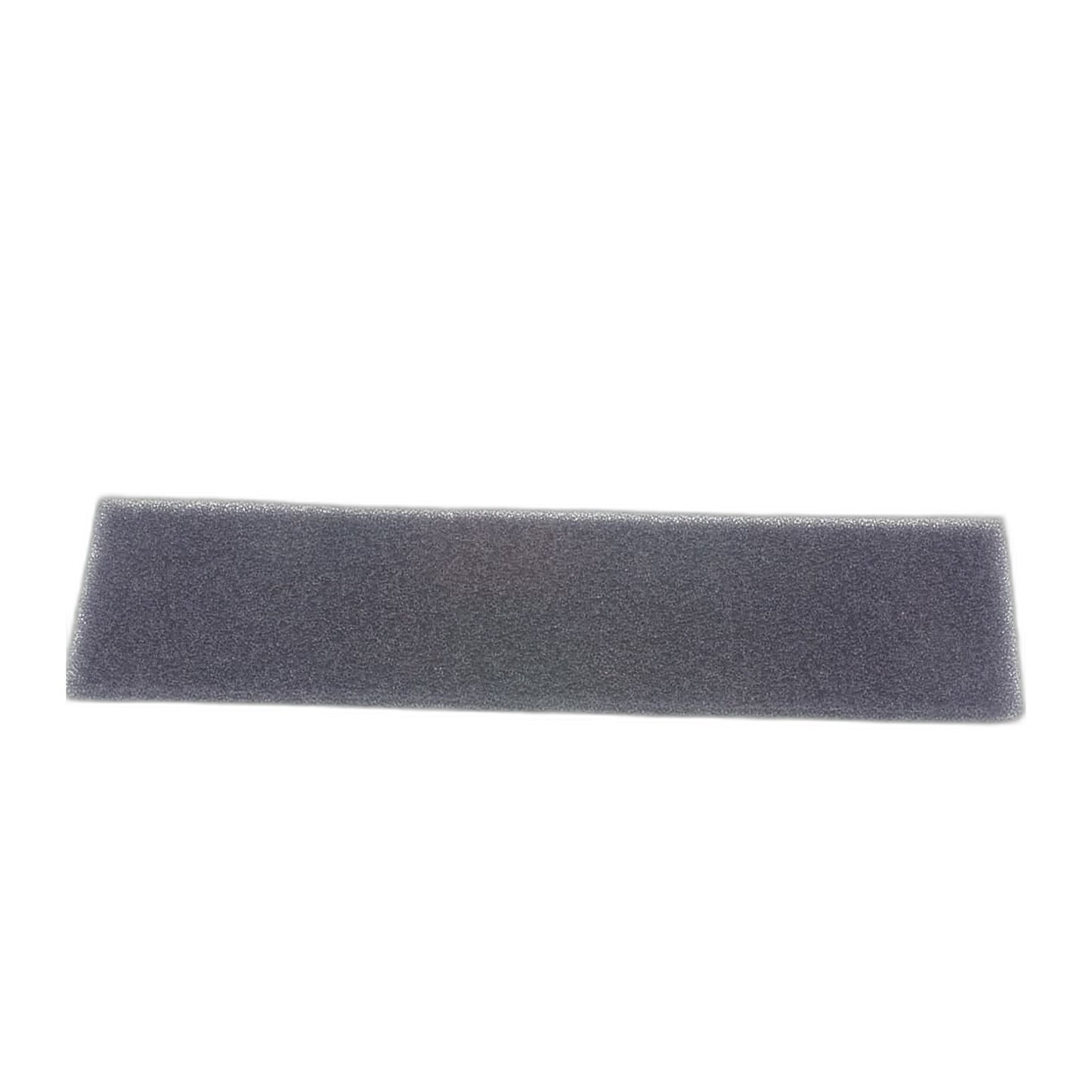 Riccar Vibrance Foam Post Filter
